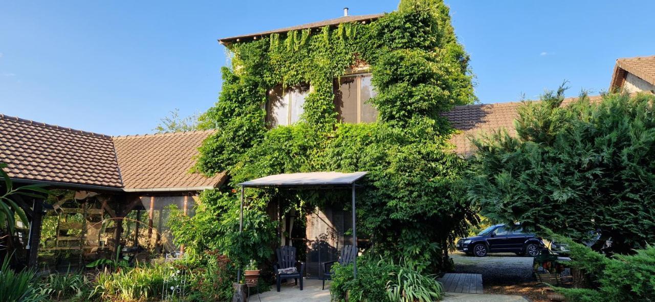 Les Grands Bois Villa Saint-Épain Eksteriør billede